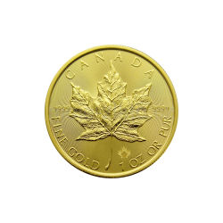 31,1g (1oz) Maple Leaf  2024